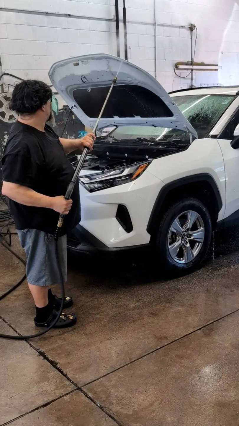 Pet hair removal from vehicle interior in Enfield CT